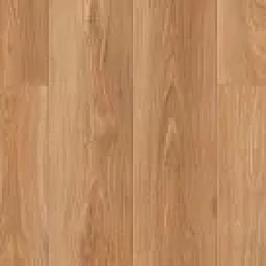 ДУБ ЗОЛОТОЙ